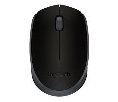 Logitech M171